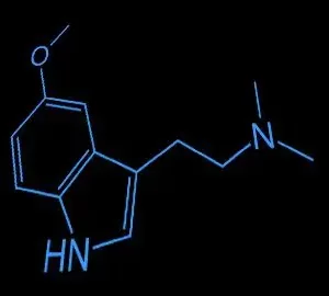 5-MEO-DMT for Sale