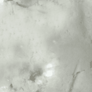 fs33